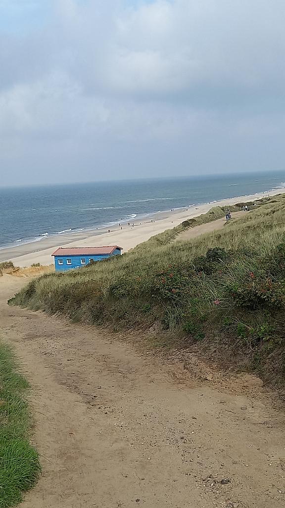 Sylt (162)